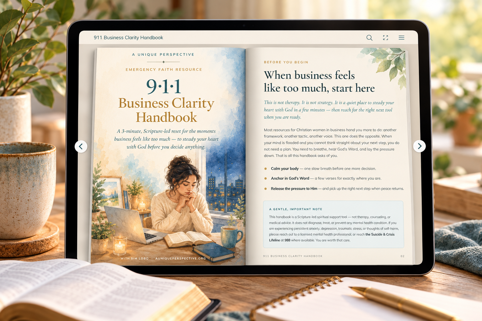 Business-Clarity-Hdbk-flipbk-mockup